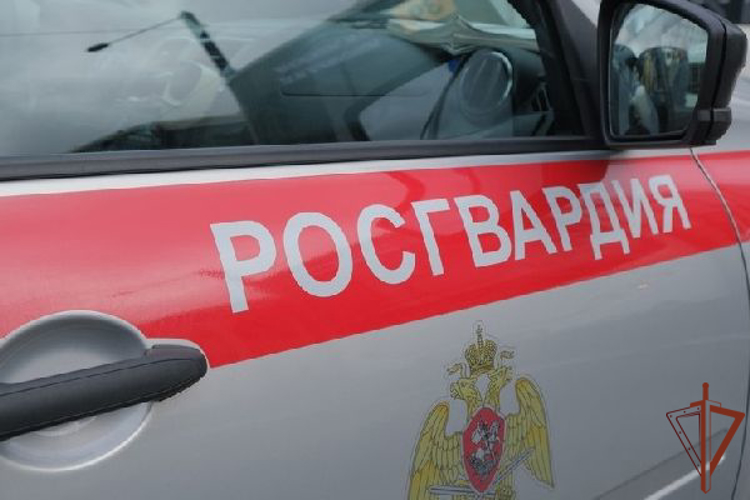 Сотрудники Росгвардии пресекли кражу в Подмосковье