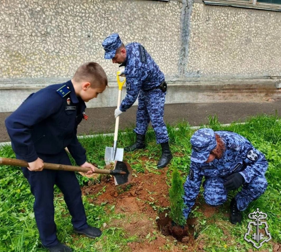 В Подмосковье сотрудники Росгвардии приняли участие в патриотической акции “Лес Победы”