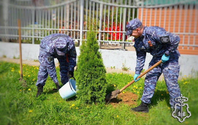 В Подмосковье сотрудники Росгвардии по Московской области присоединились к акции «Лес Победы»