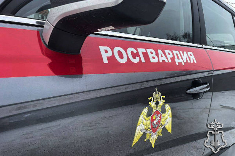 За прошедший месяц подмосковные росгвардейцы выезжали более 9000 раз по сигналам «Тревога» с охраняемых объектов