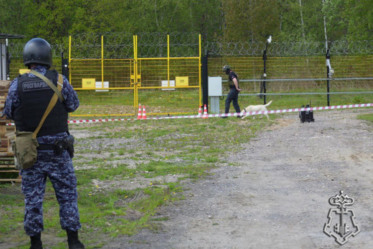 Росгвардейцы приняли участие в учении на объекте ТЭК в Подмосковье (видео)