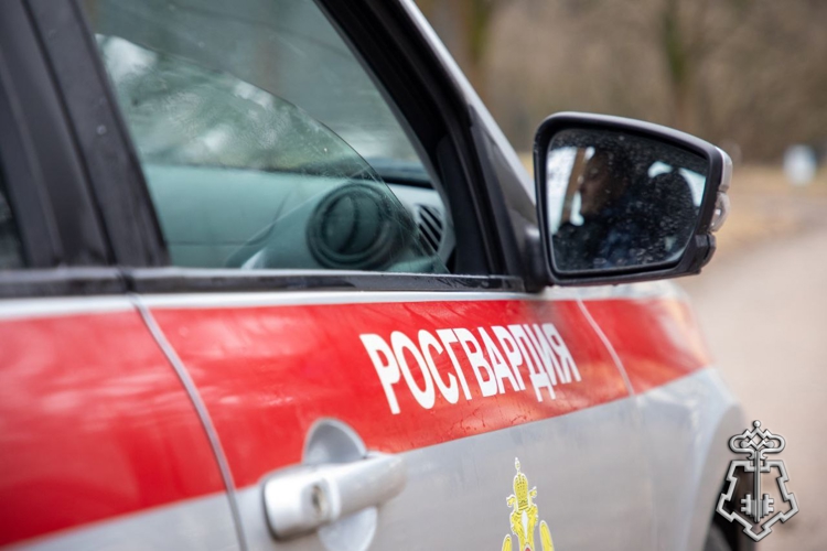 Сотрудники Росгвардии задержали подозреваемого в угрозе убийством в Подмосковье