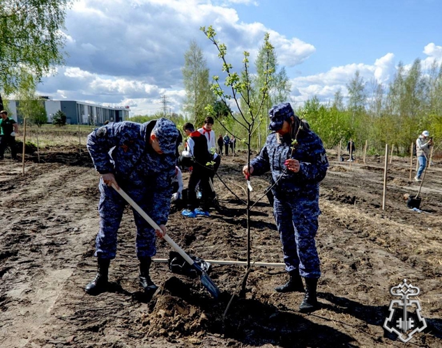 Подмосковные росгвардейцы поддержали акцию «Лес Победы»