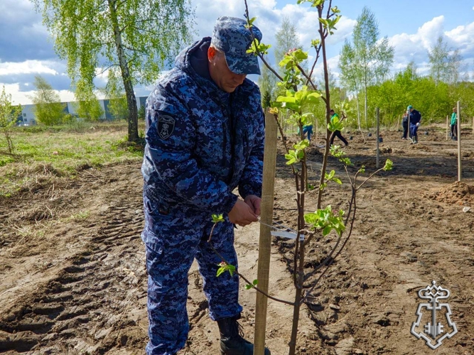 Подмосковные росгвардейцы поддержали акцию «Лес Победы»