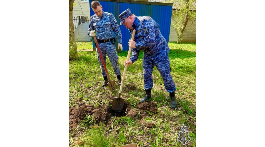 Подмосковные росгвардейцы поддержали акцию «Лес Победы»