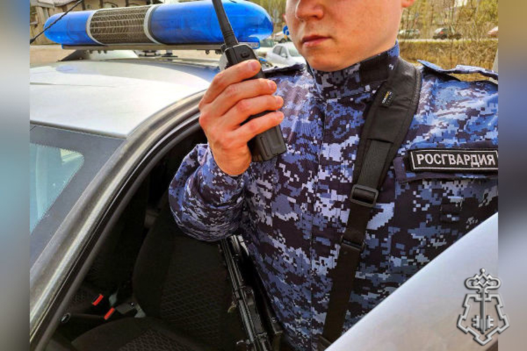 Подмосковные росгвардейцы по приметам задержали рецидивиста, совершившего грабёж (видео)