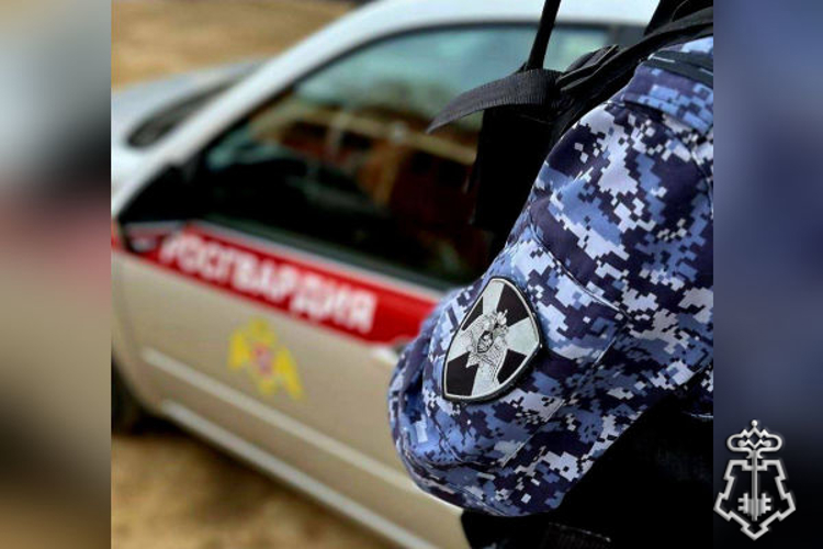 Подмосковные росгвардейцы задержали подозреваемого в незаконном обороте наркотиков в крупном размере (видео)