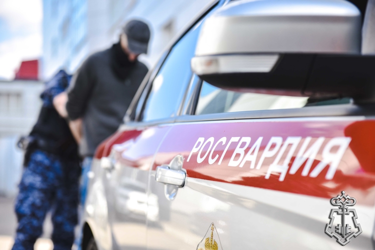 Росгвардейцы задержали рецидивиста, подозреваемого в краже телефона (видео)