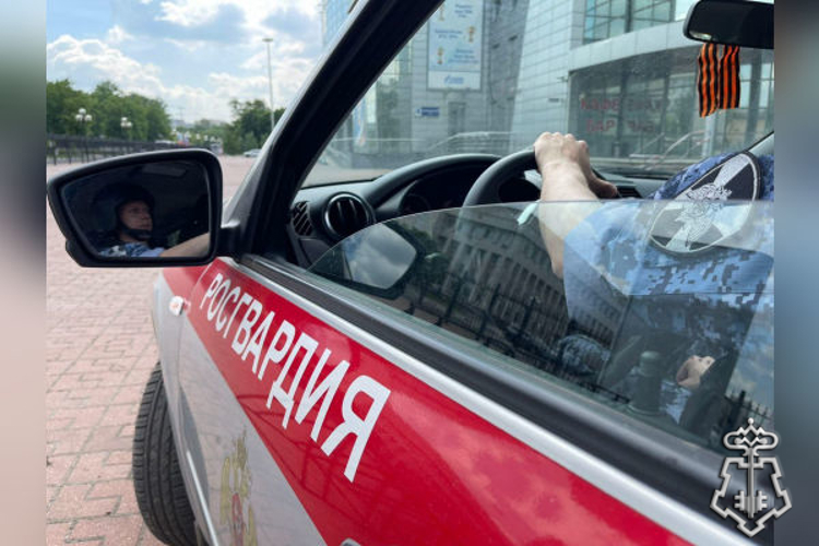 Подмосковные росгвардейцы задержали гражданина, подозреваемого в краже (видео)