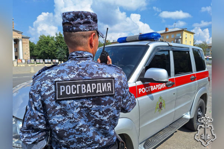 В Подмосковье росгвардейцы задержали рецидивиста, подозреваемого в краже (видео)