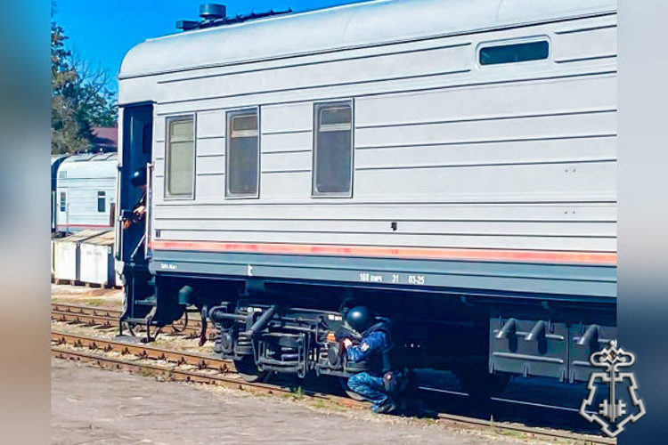 В Подмосковье росгвардейцы провели учения по организации охраны специального груза