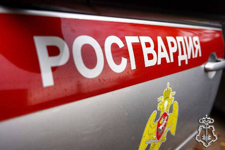 В подмосковном Пушкино задержали шопоголика, решившего одеться «по акции»