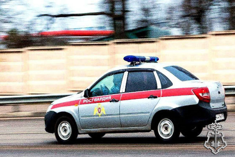 Росгвардейцы задержали подозреваемого в краже 