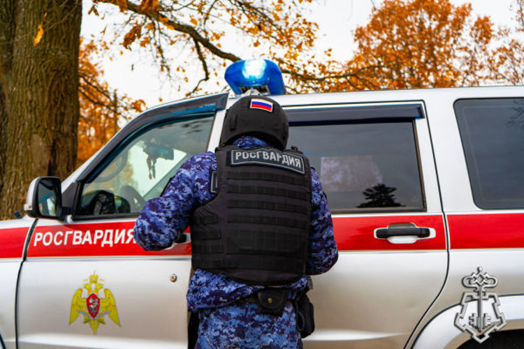 Росгвардейцы пресекли конфликт с применением оружия и топора в Подмосковье