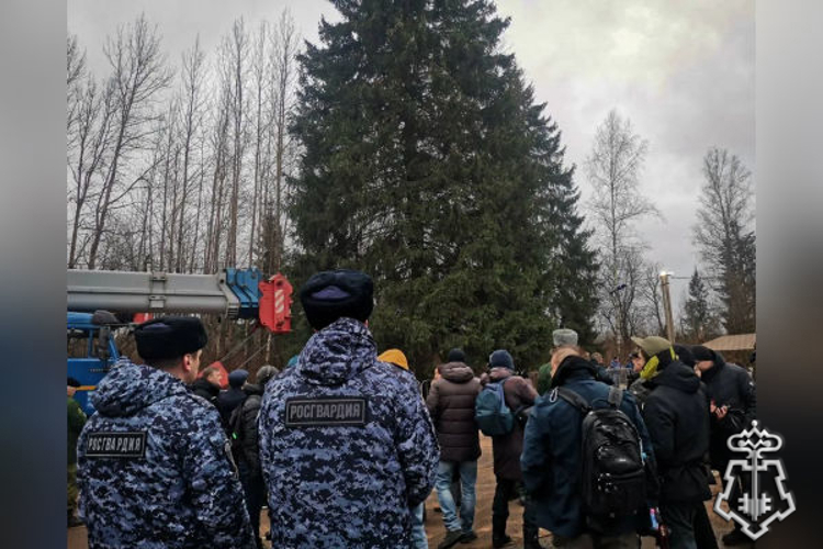 Росгвардейцы обеспечивают сохранность главной новогодней ёлки страны в Подмосковье в период её подготовки к транспортировке (видео)