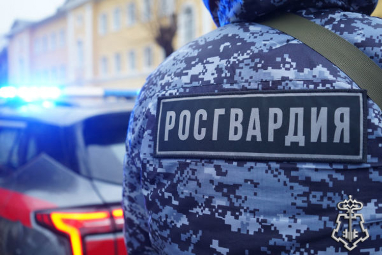 Росгвардейцы пресекли кражу в Подмосковье