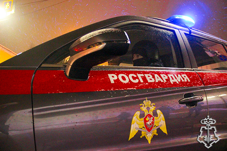  Росгвардейцы помогли вызволить грузовой автомобиль из снежного плена в Подмосковье (видео)