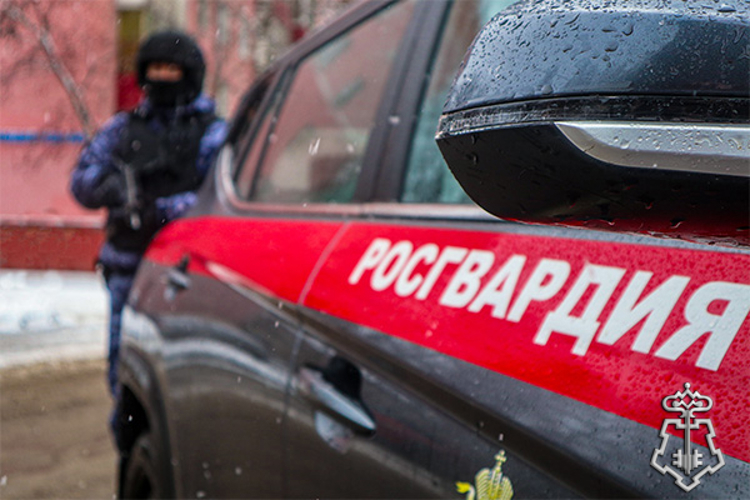 Росгвардейцы пресекли кражу бытовой химии в Подмосковье (видео)