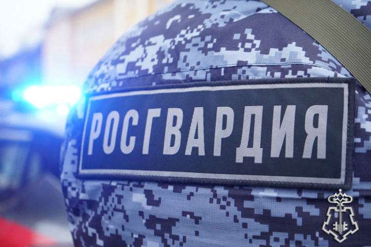 Росгвардейцы задержали девушку, пытавшуюся совершить поджог в Подмосковье (видео)