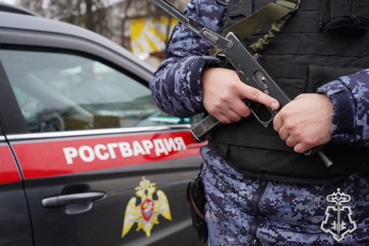Росгвардейцы задержали дебошира в Подмосковье (видео)