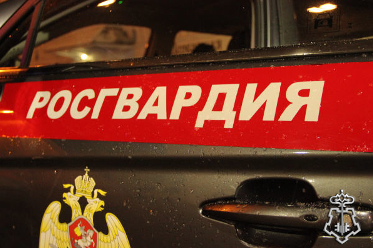 Росгвардейцы по приметам задержали подозреваемого в угрозе убийством в Подмосковье