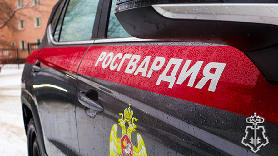 Росгвардейцы задержали рецидивистку, подозреваемую в избиении пенсионерки в Подмосковье (видео)