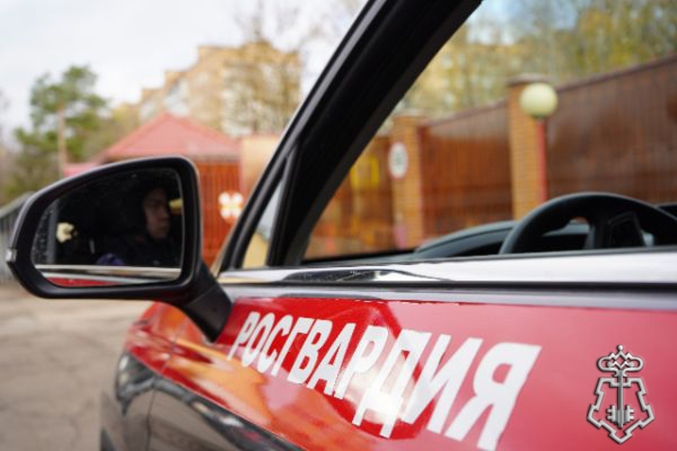 Сотрудники Росгвардии задержали вооруженного дебошира в Подмосковье (видео)