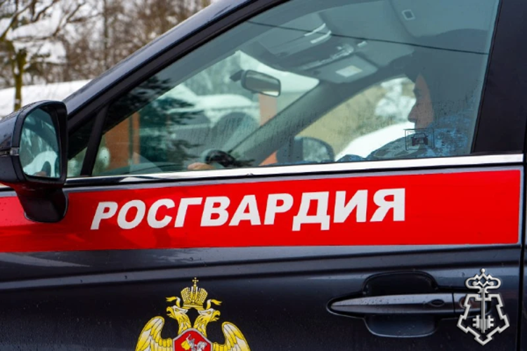 Росгвардейцы задержали рецидивиста, подозреваемого в убийстве в Подмосковье 