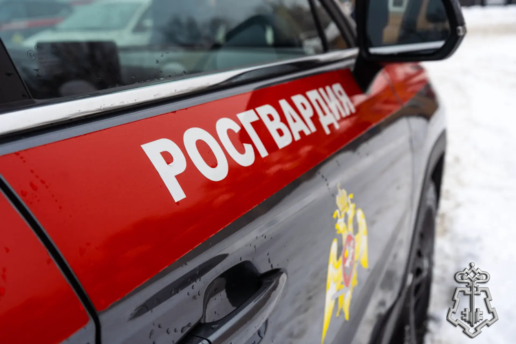 Росгвардейцы провели тактико-специальные учения на частном домовладении в Подмосковье (видео)