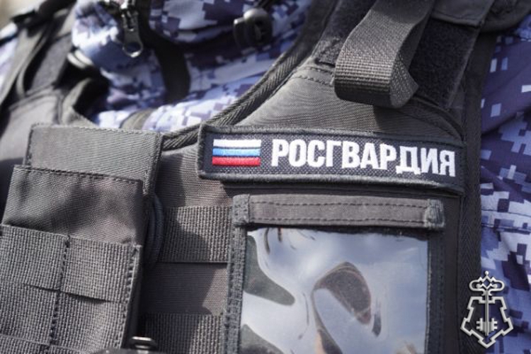 Росгвардейцы помогли пострадавшим на месте крупного ДТП в Подмосковье (видео)