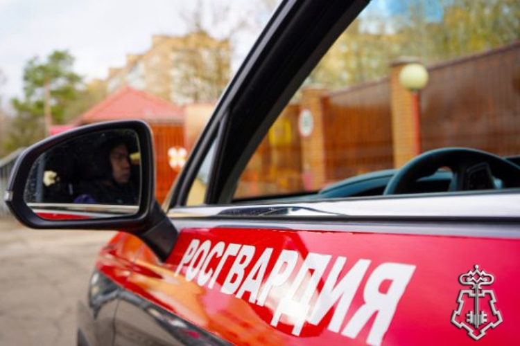 Росгвардейцы по горячим следам задержали рецидивиста, похитившего мобильный телефон в Подмосковье