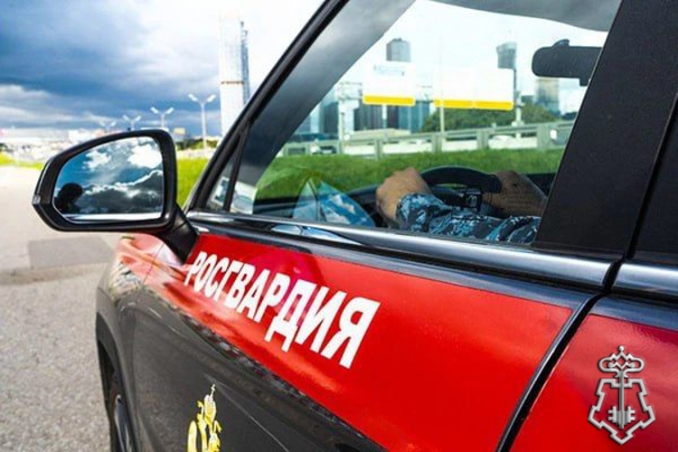 Росгвардейцы пресекли незаконный оборот наркотиков в крупном размере в Подмосковье (видео)
