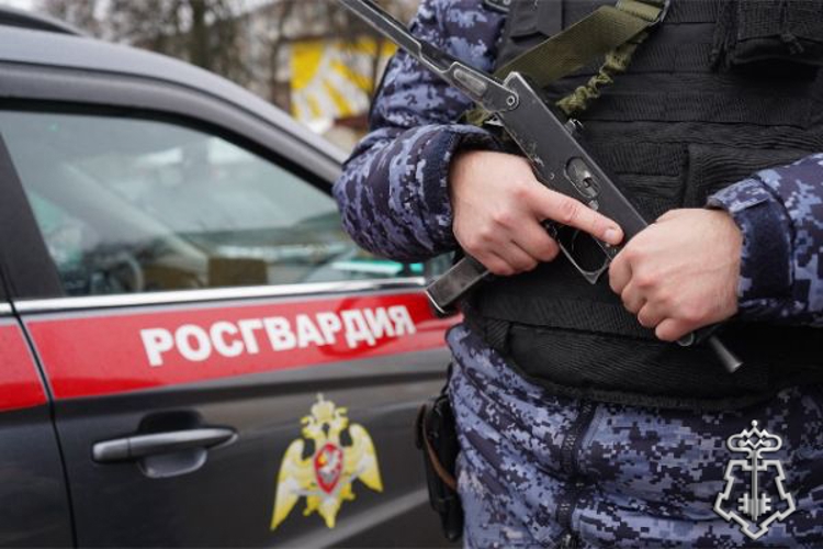 Росгвардейцы задержали рецидивистку за нанесение ранений женщине в Подмосковье (видео)