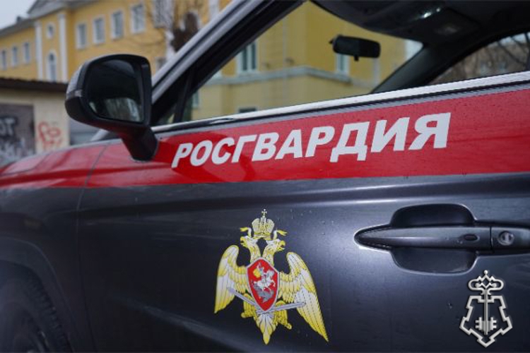 Росгвардейцы задержали подозреваемую в нанесении ножевых ранений в Подмосковье (видео)