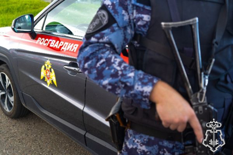 Росгвардейцы задержали рецидивиста, подозреваемого в угрозе убийством в Подмосковье (видео)