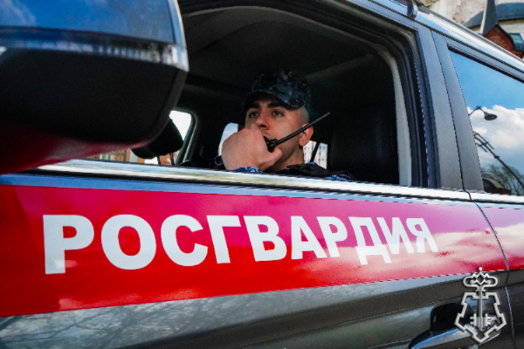 Росгвардейцы пресекли кражу на охраняемом объекте в Подмосковье (видео)