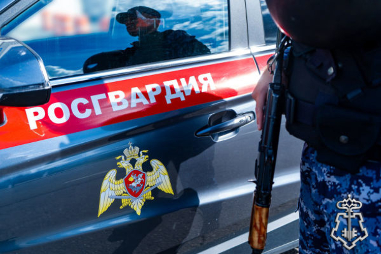 Росгвардейцы задержали подозреваемого в нанесении ножевого ранения работнику хостела в Подмосковье (видео)