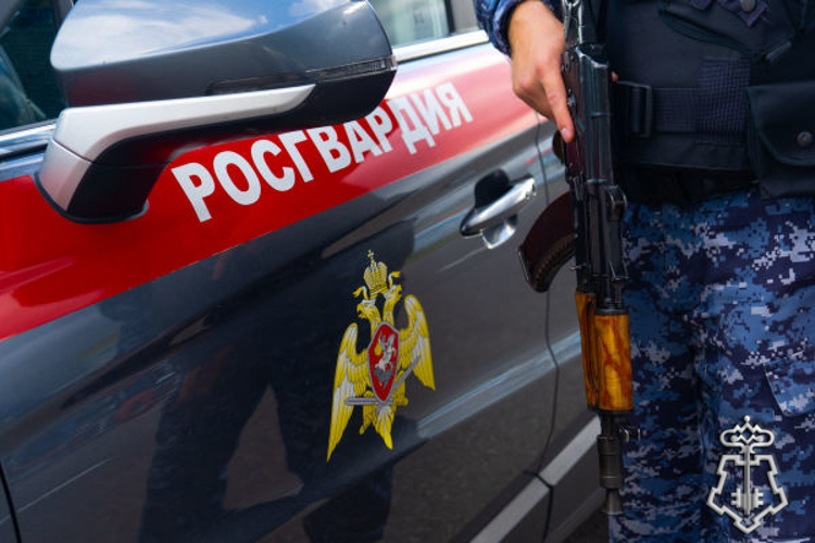 Росгвардейцы задержали мужчину, открывшего стрельбу в Подмосковье (видео)