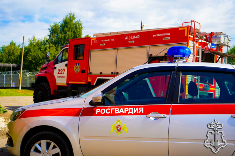 Сотрудники Росгвардии приняли участие в межведомственных учениях по нейтрализации угроз на объекте энергетики в Подмосковье