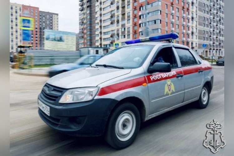 Росгвардейцы задержали подозреваемого в незаконном проникновении в частный дом в Подмосковье (видео)