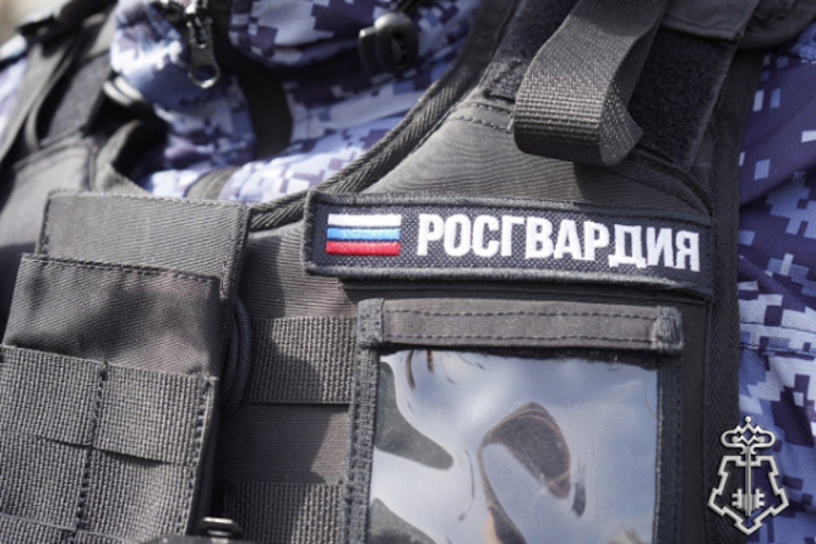 Росгвардейцы задержали мужчину, открывшего стрельбу из окна в Подмосковье (видео)