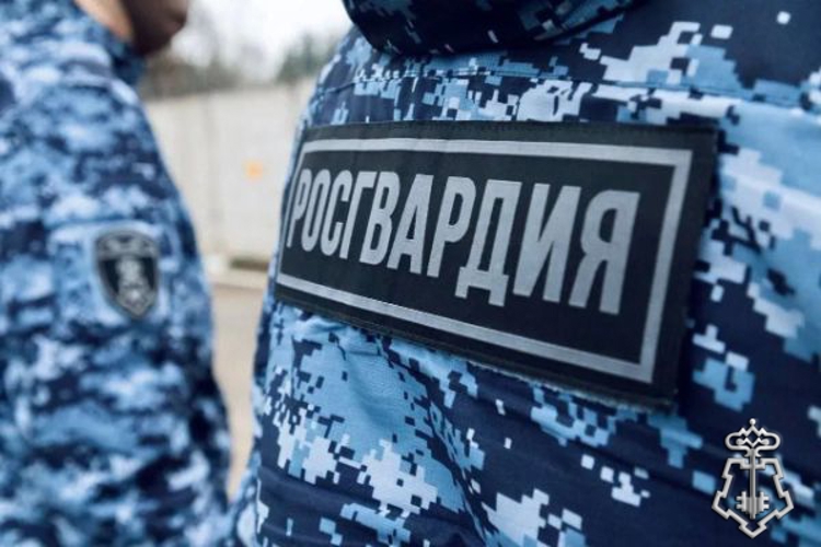 Росгвардейцы задержали подозреваемого в совершении преступления против половой неприкосновенности в Подмосковье (видео)