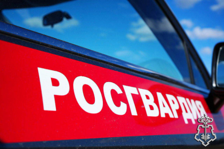 За прошедшую неделю росгвардейцы 2336 раз выезжали по сигналам «Тревога» с охраняемых объектов в Подмосковье